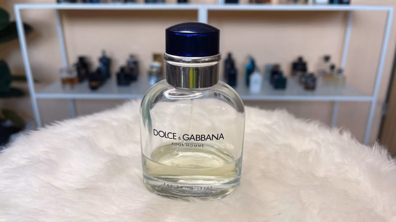 Dolce & Gabbana pour Homme (Dolce & Gabbana)