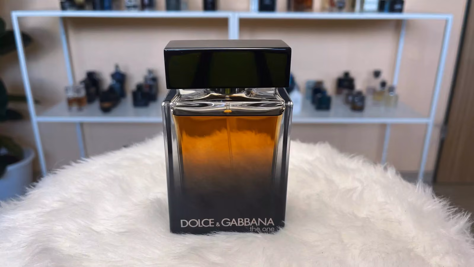 The One (Dolce & Gabbana)