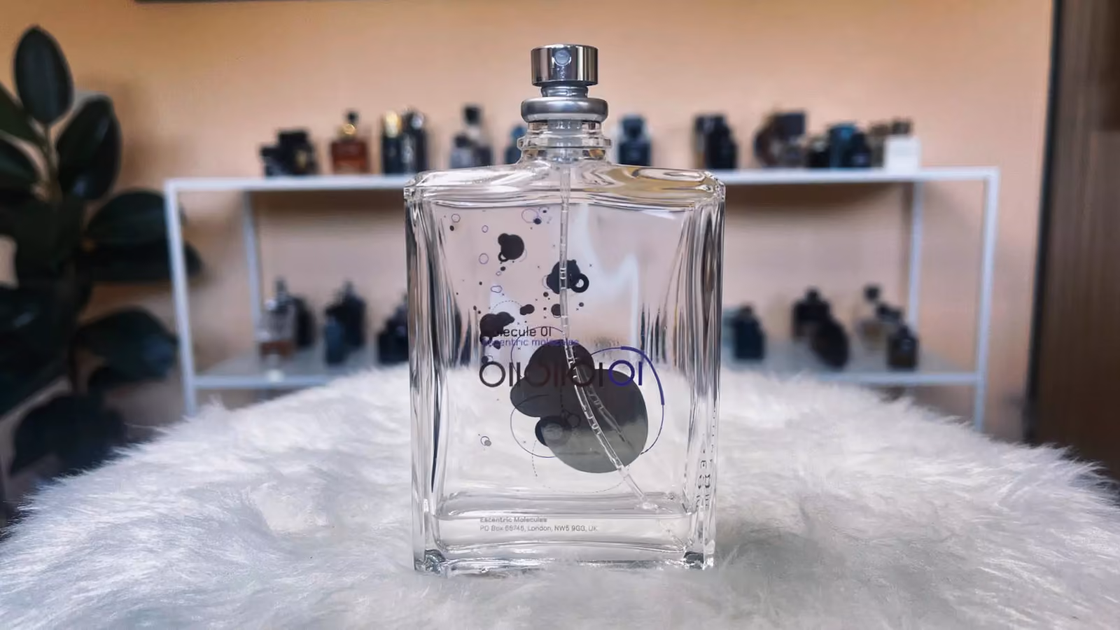 review-eccentric-molecules-molecule-01