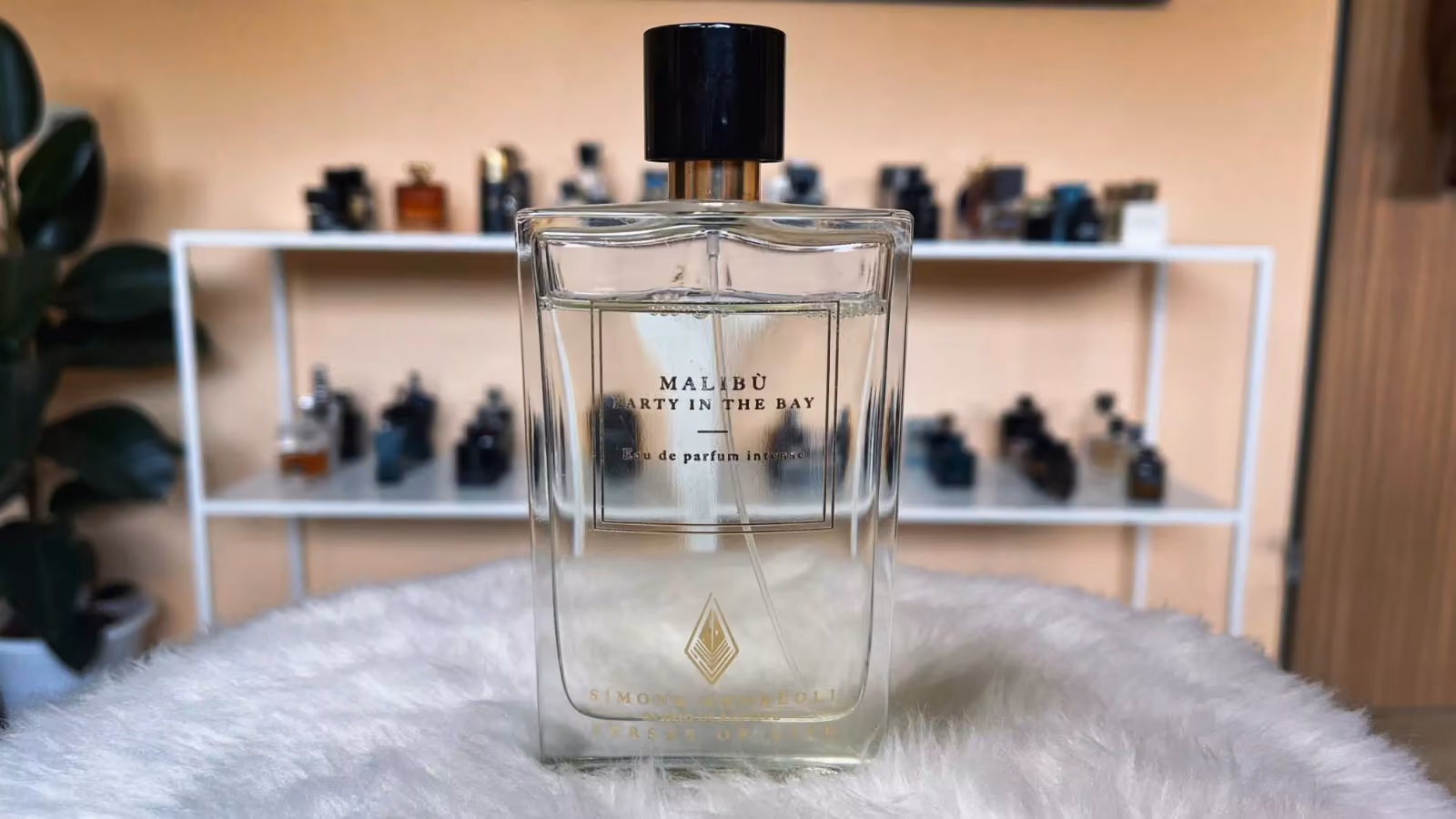 Malibù – Party In The Bay (Simone Andreoli)