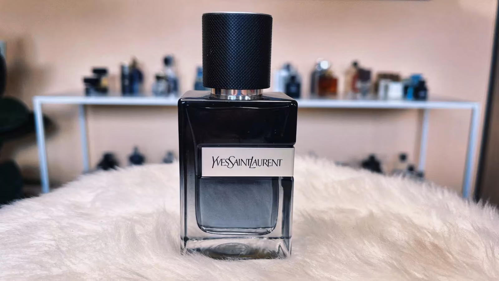 Y (Yves Saint Laurent)
