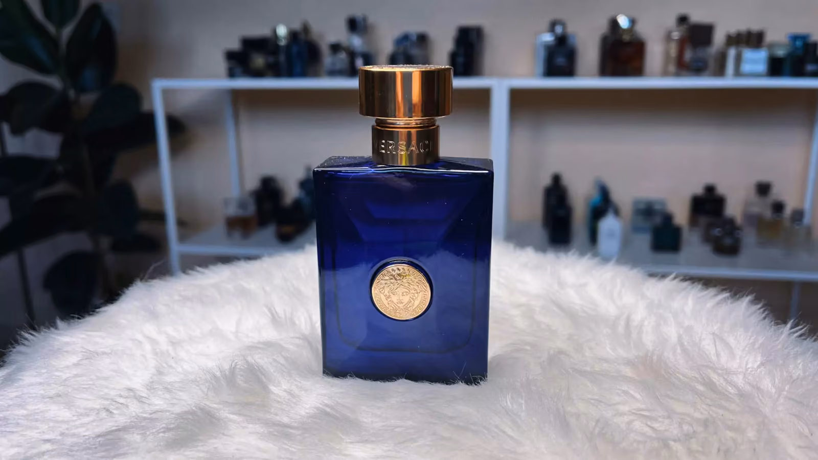 Dylan Blue (Versace)