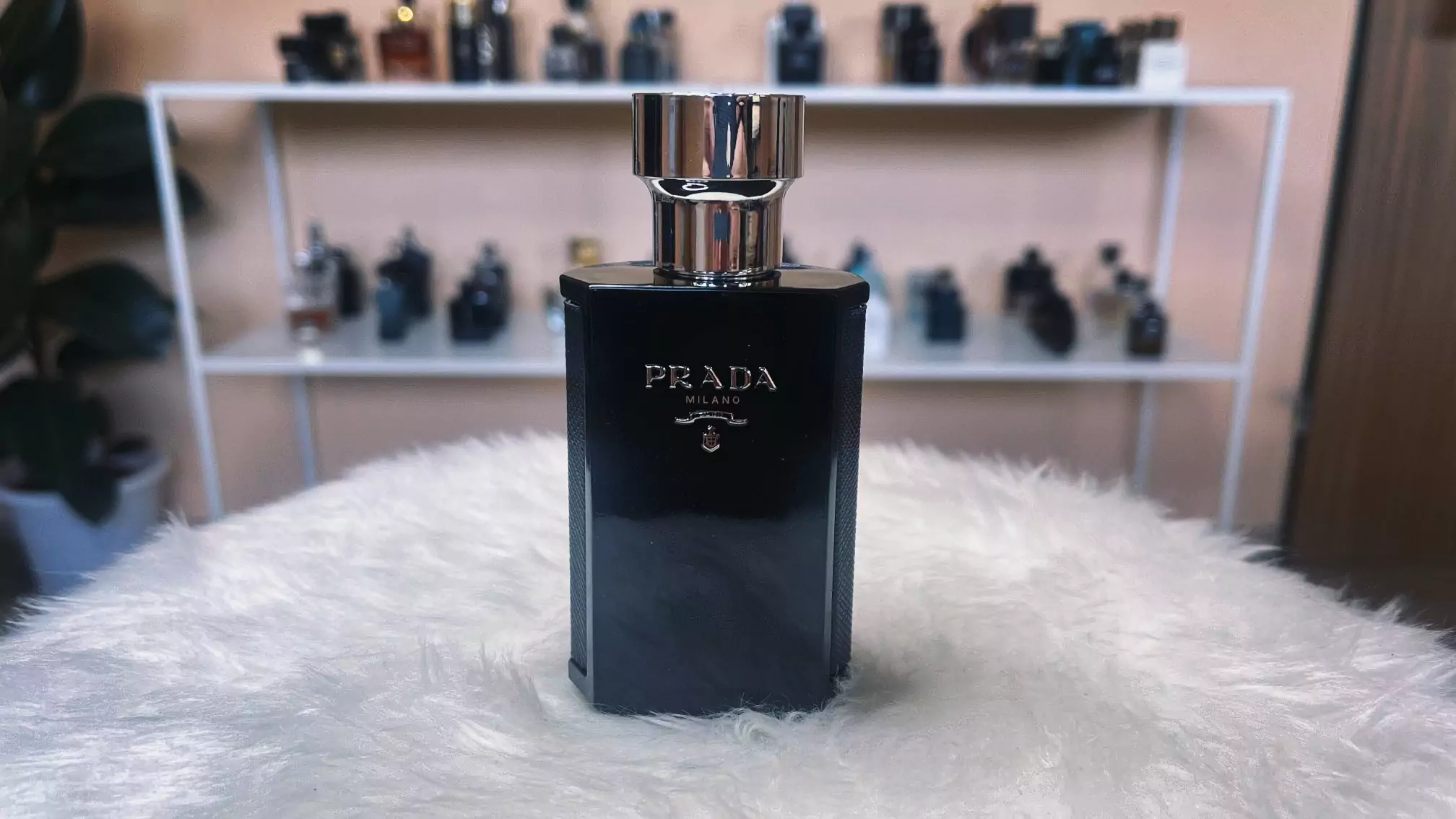 L'Homme Intense (Prada) || Review - Olfactory Ambition